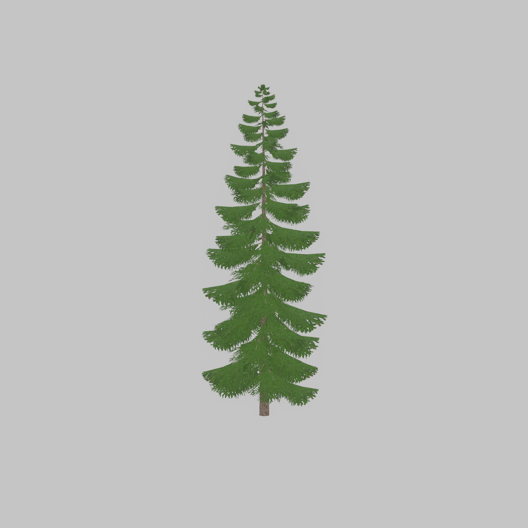 Spruce summer solitary 31000mm version 1 Low-poly 3D model_46