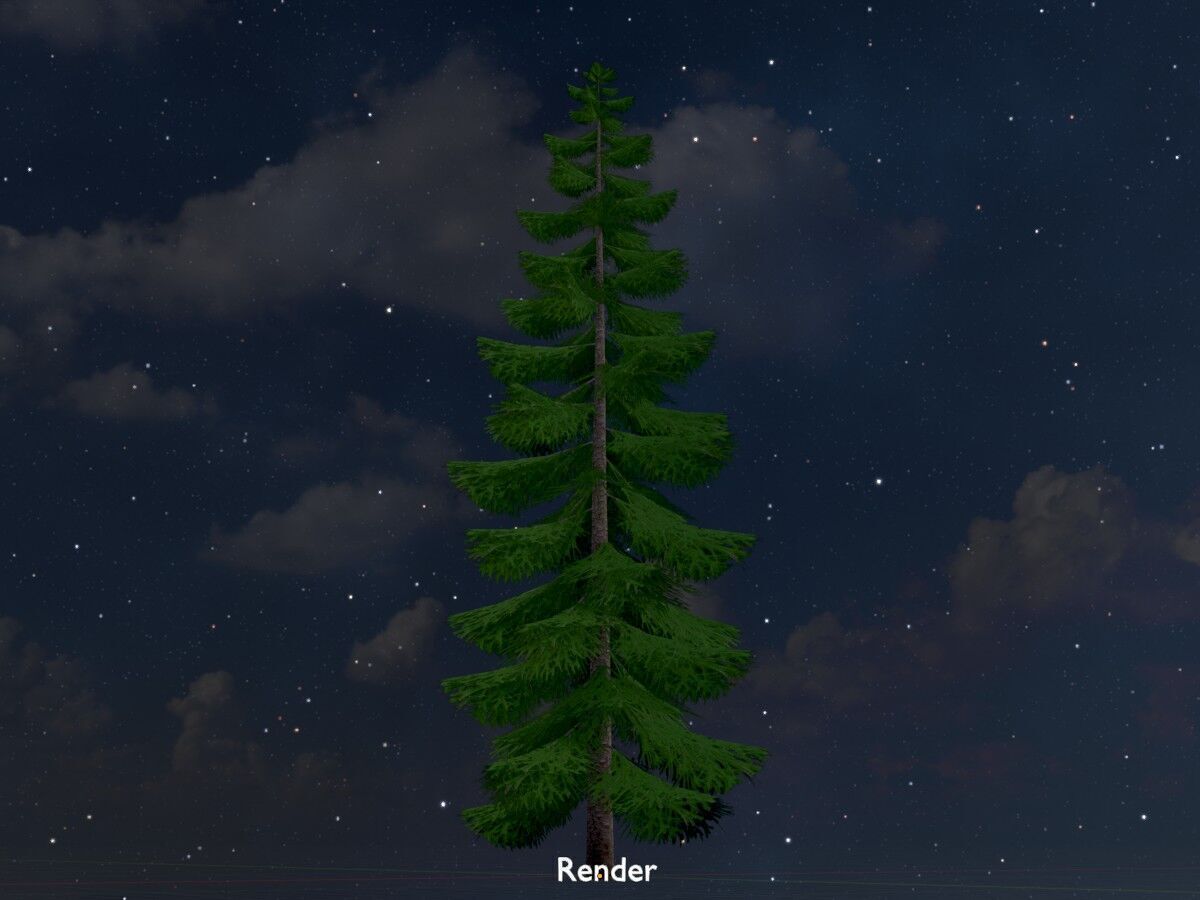 Spruce summer solitary 31000mm version 1 Low-poly 3D model_20