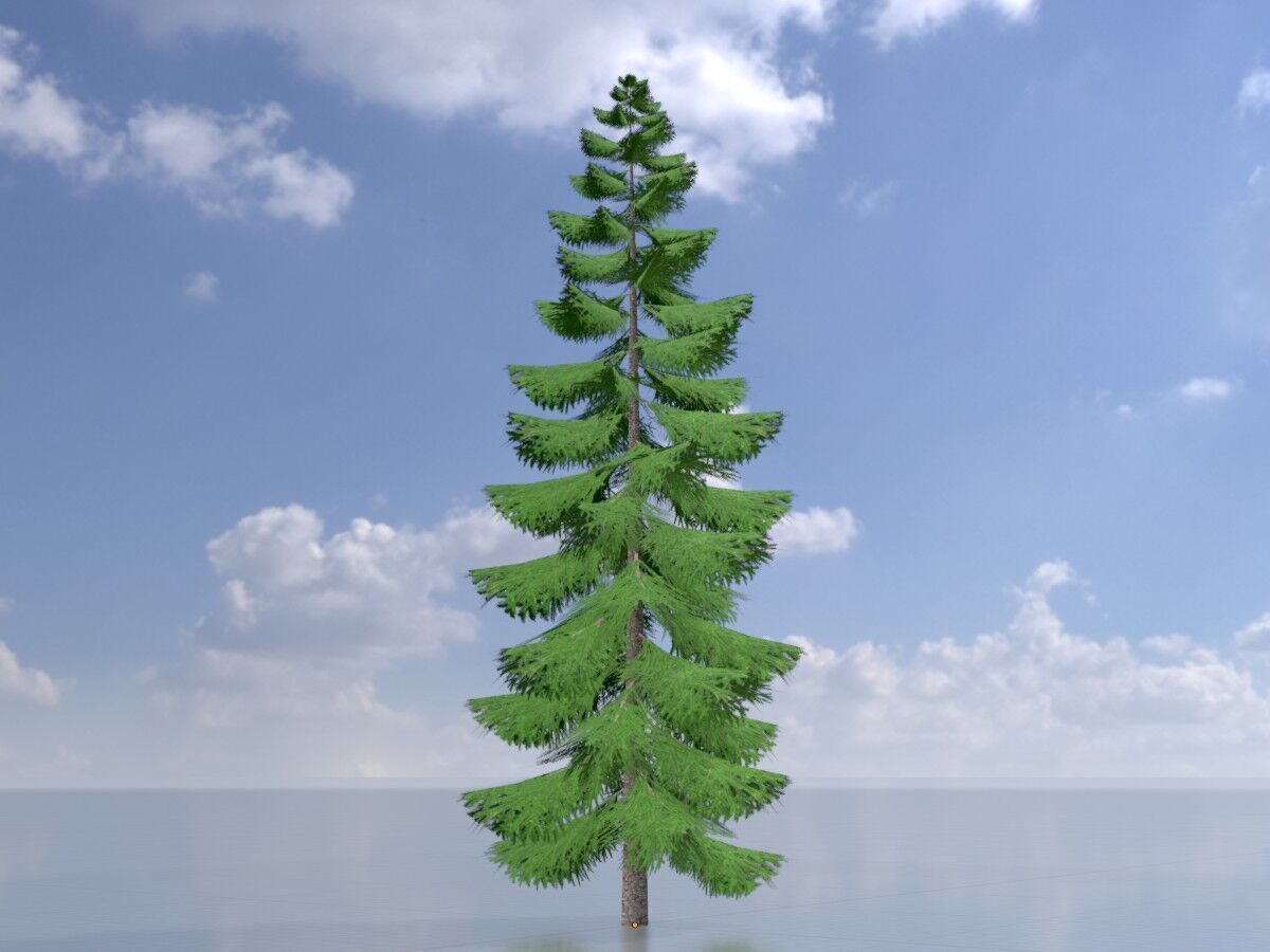Spruce summer solitary 31000mm version 1 Low-poly 3D model_2