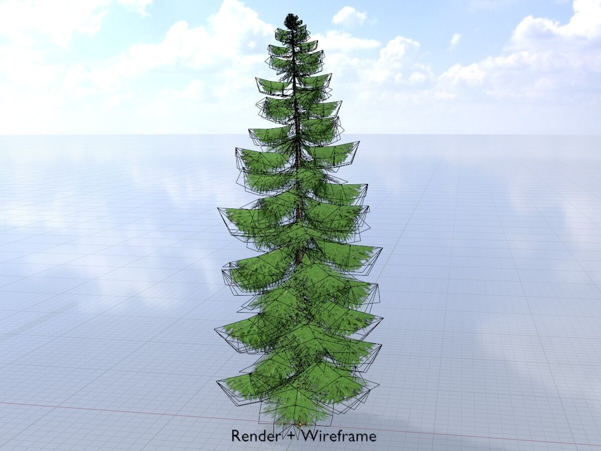 Spruce summer solitary 31000mm version 1 Low-poly 3D model_5