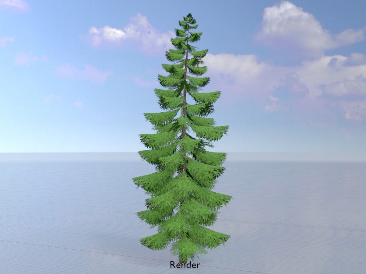 Spruce summer solitary 31000mm version 1 Low-poly 3D model_15
