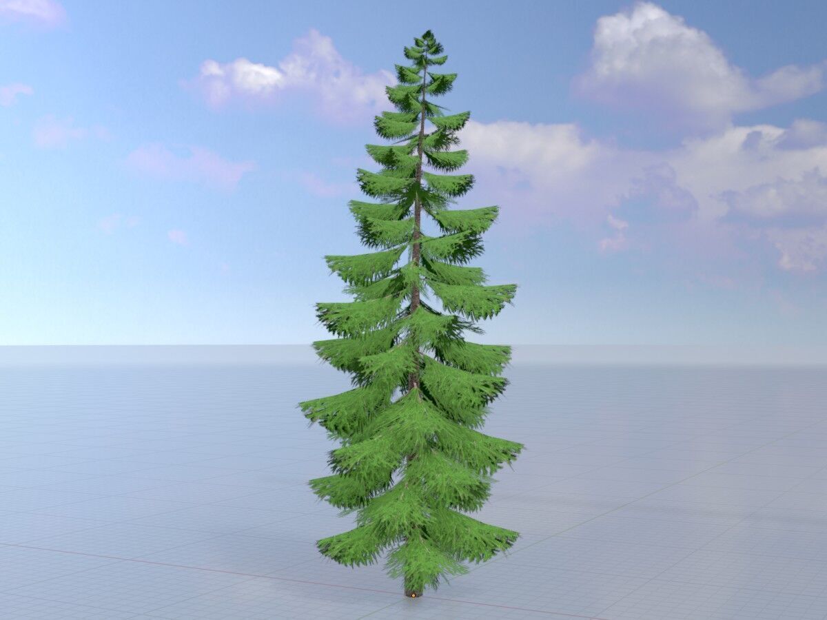 Spruce summer solitary 31000mm version 1 Low-poly 3D model_3