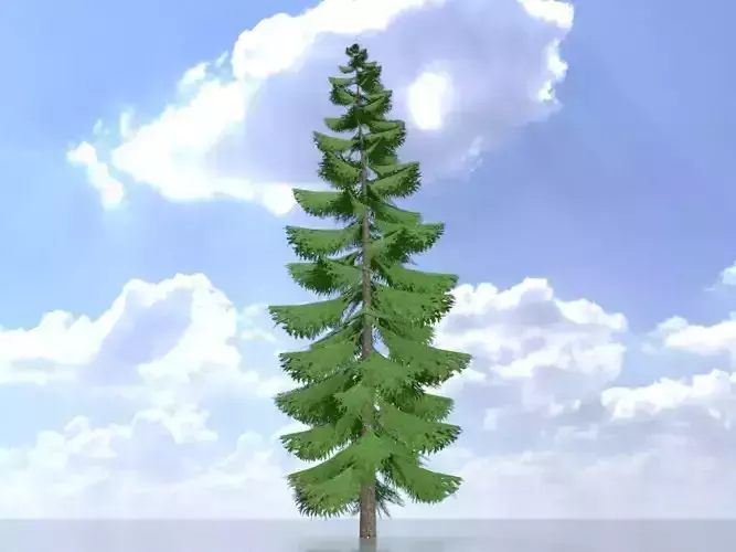 Spruce summer solitary 31000mm version 1 Low-poly 3D model