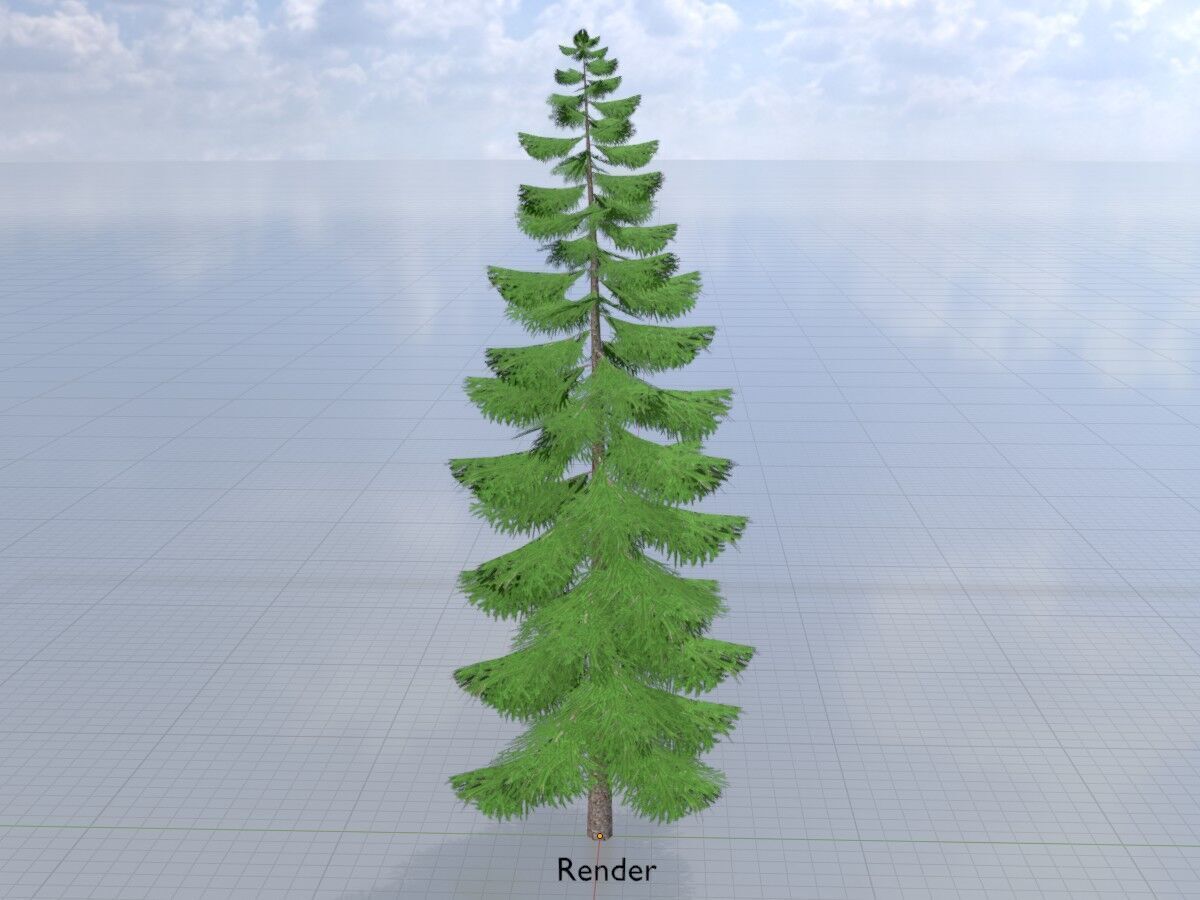 Spruce summer solitary 31000mm version 1 Low-poly 3D model_14
