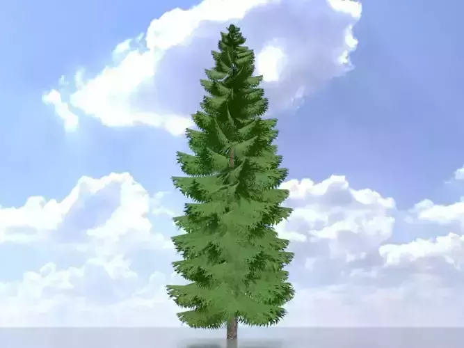 Spruce summer solitary 31000mm version 2 Low-poly 3D model