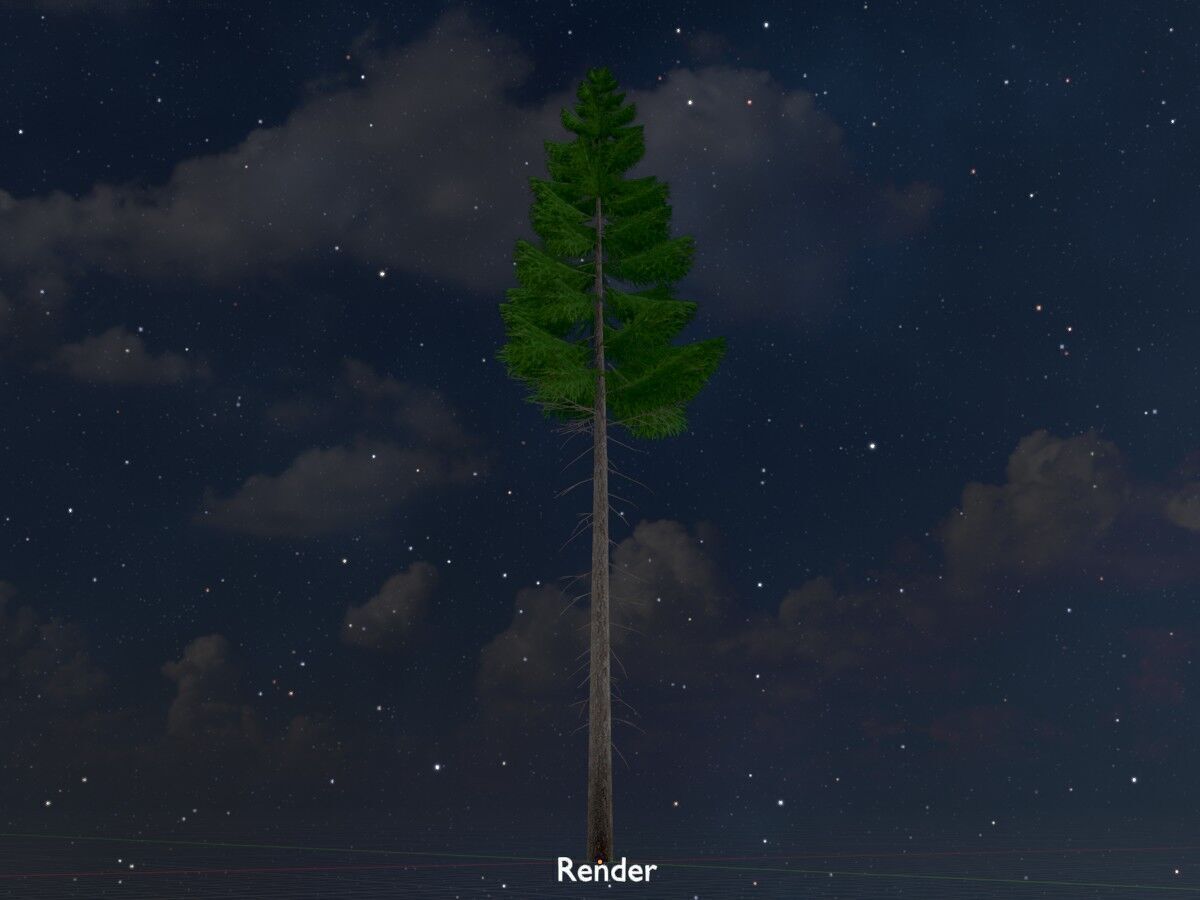 Spruce summer 21000mm forest version Low-poly 3D model_20