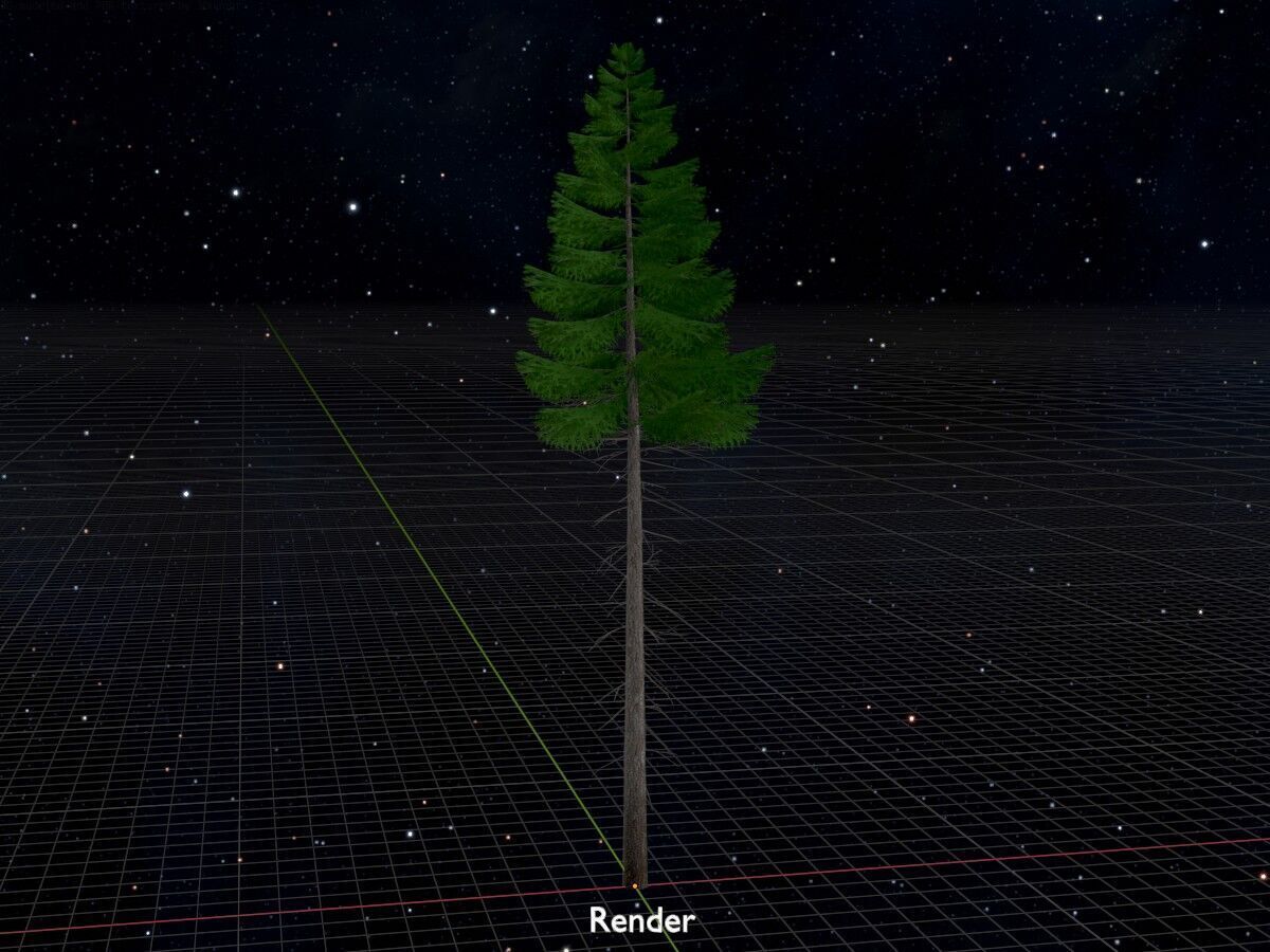 Spruce summer 21000mm forest version Low-poly 3D model_17