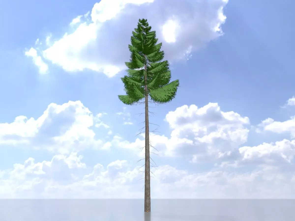 Spruce summer 21000mm forest version Low-poly 3D model_0