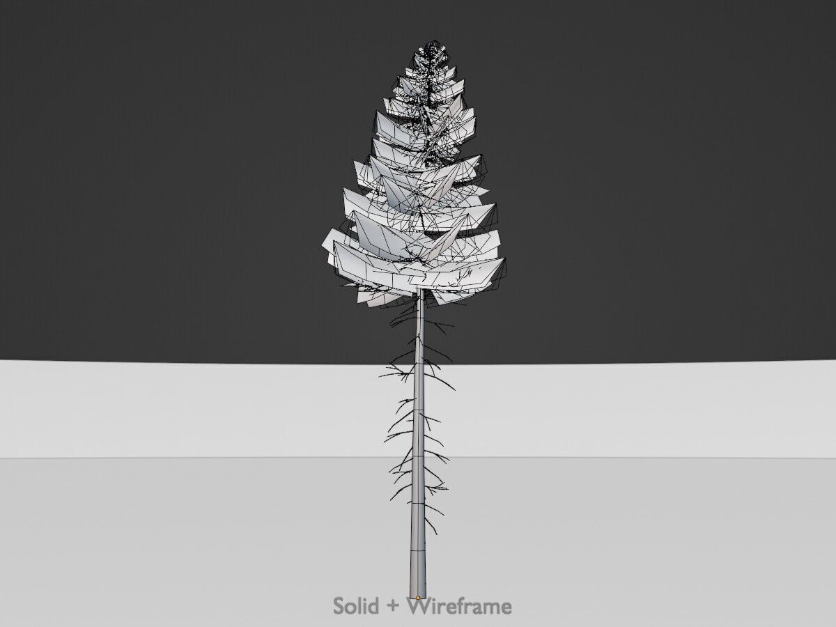 Spruce summer 21000mm forest version Low-poly 3D model_11