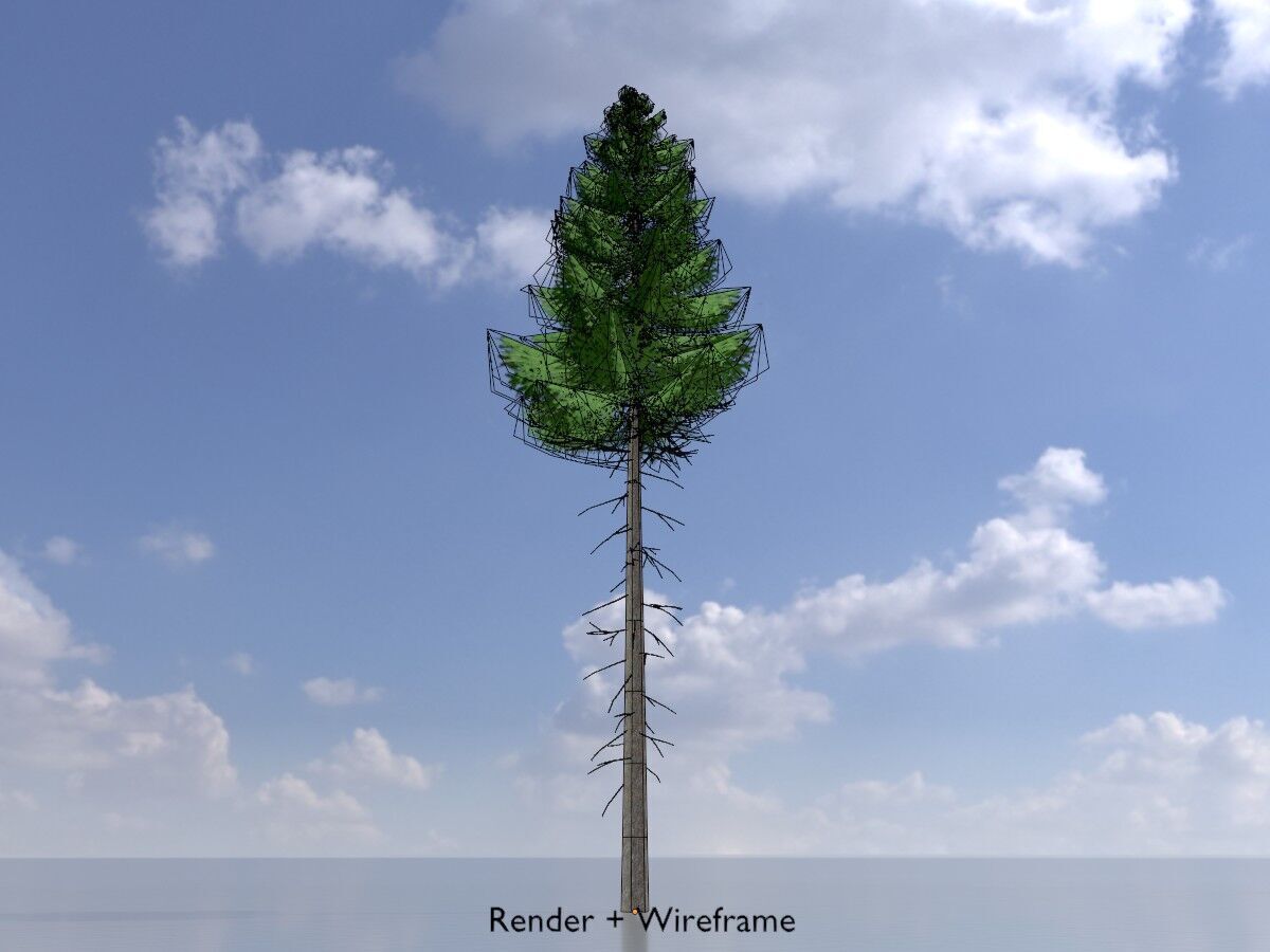 Spruce summer 21000mm forest version Low-poly 3D model_6