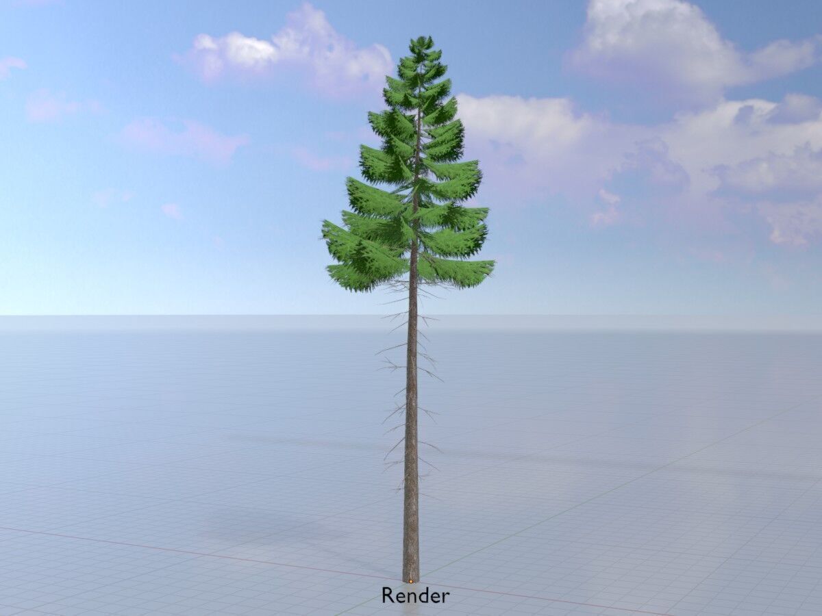 Spruce summer 21000mm forest version Low-poly 3D model_15
