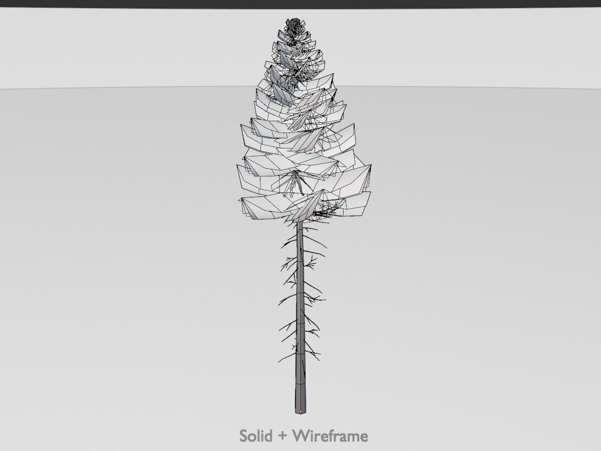 Spruce summer 21000mm forest version Low-poly 3D model_12