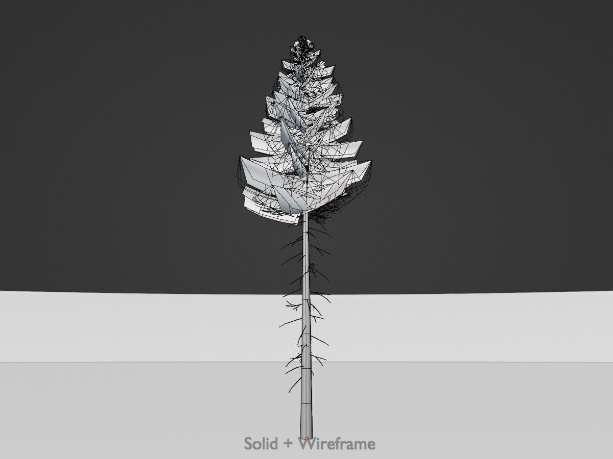 Spruce summer 21000mm forest version Low-poly 3D model_10