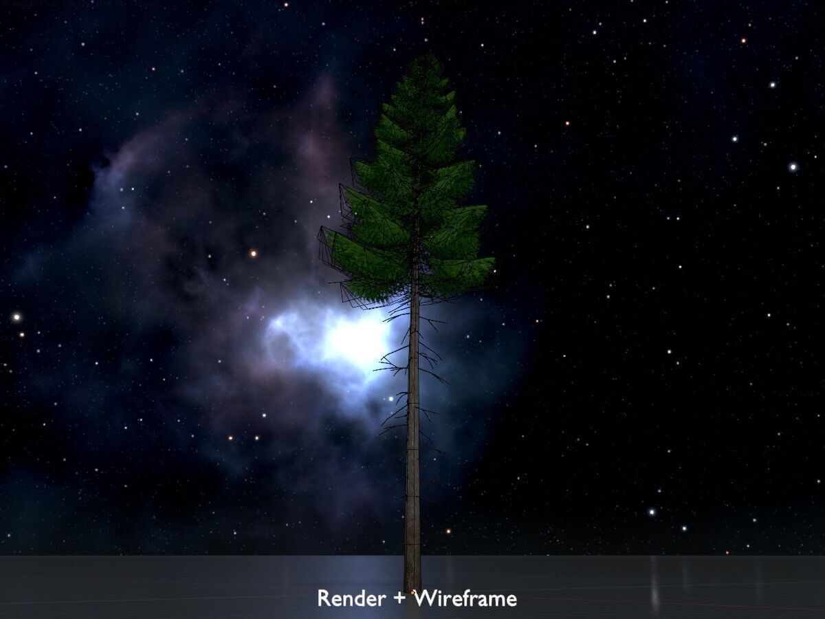 Spruce summer 21000mm forest version Low-poly 3D model_7