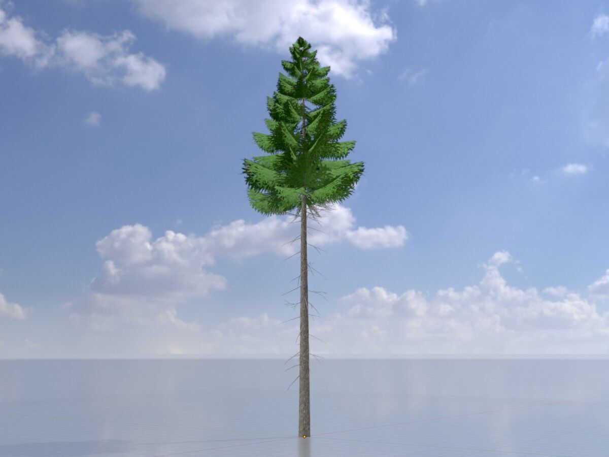 Spruce summer 21000mm forest version Low-poly 3D model_2