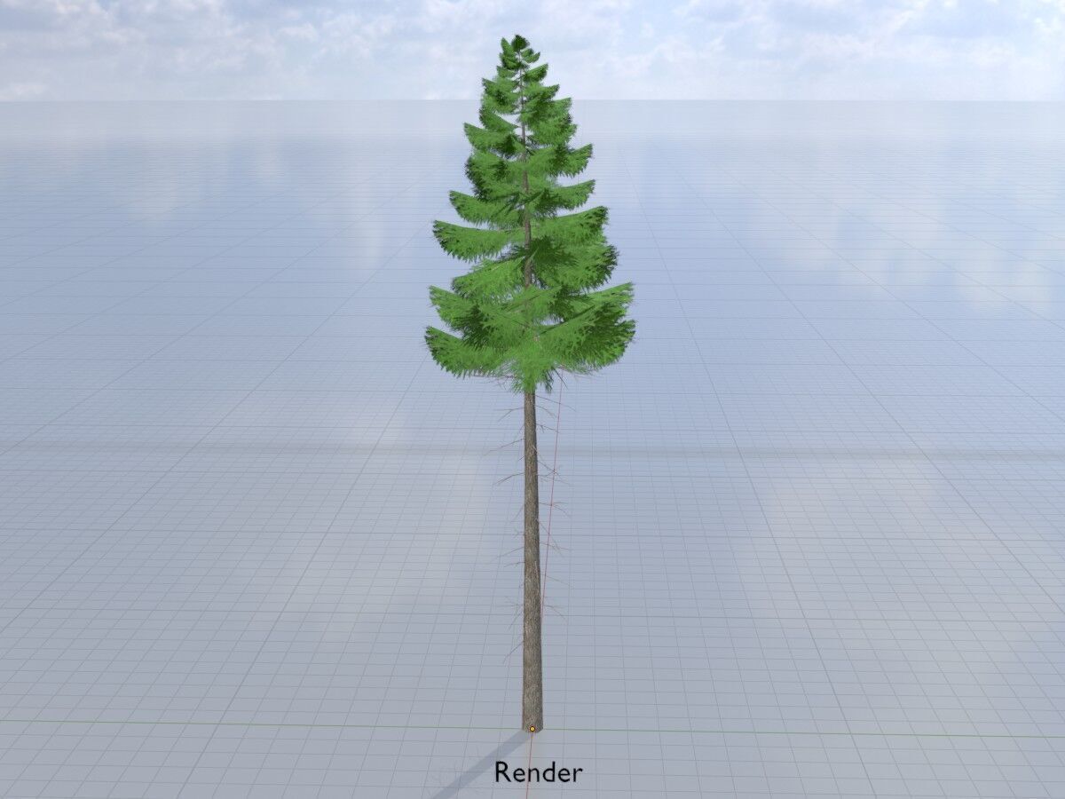 Spruce summer 21000mm forest version Low-poly 3D model_14