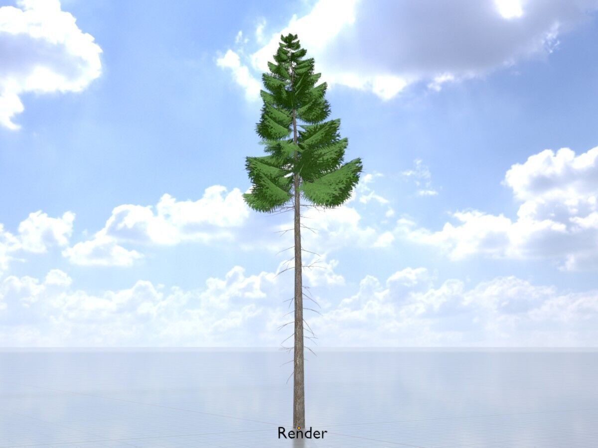 Spruce summer 21000mm forest version Low-poly 3D model_13