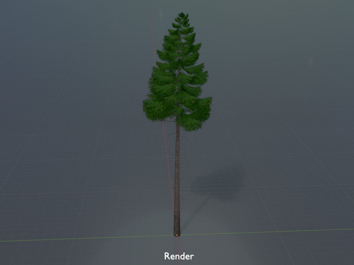 Spruce summer 21000mm forest version Low-poly 3D model_16