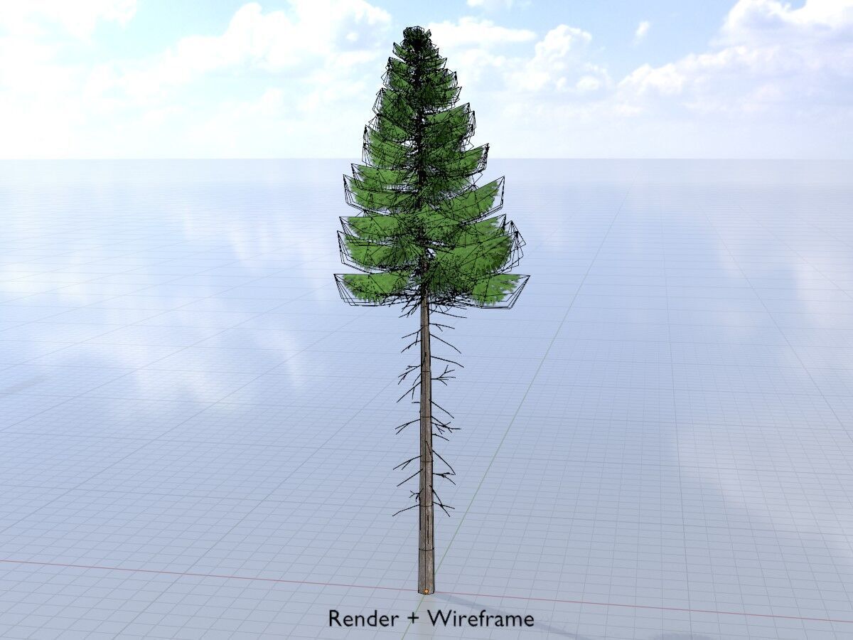 Spruce summer 21000mm forest version Low-poly 3D model_5