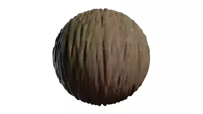 Anydrafts Lagerstroemia indica Bark 07