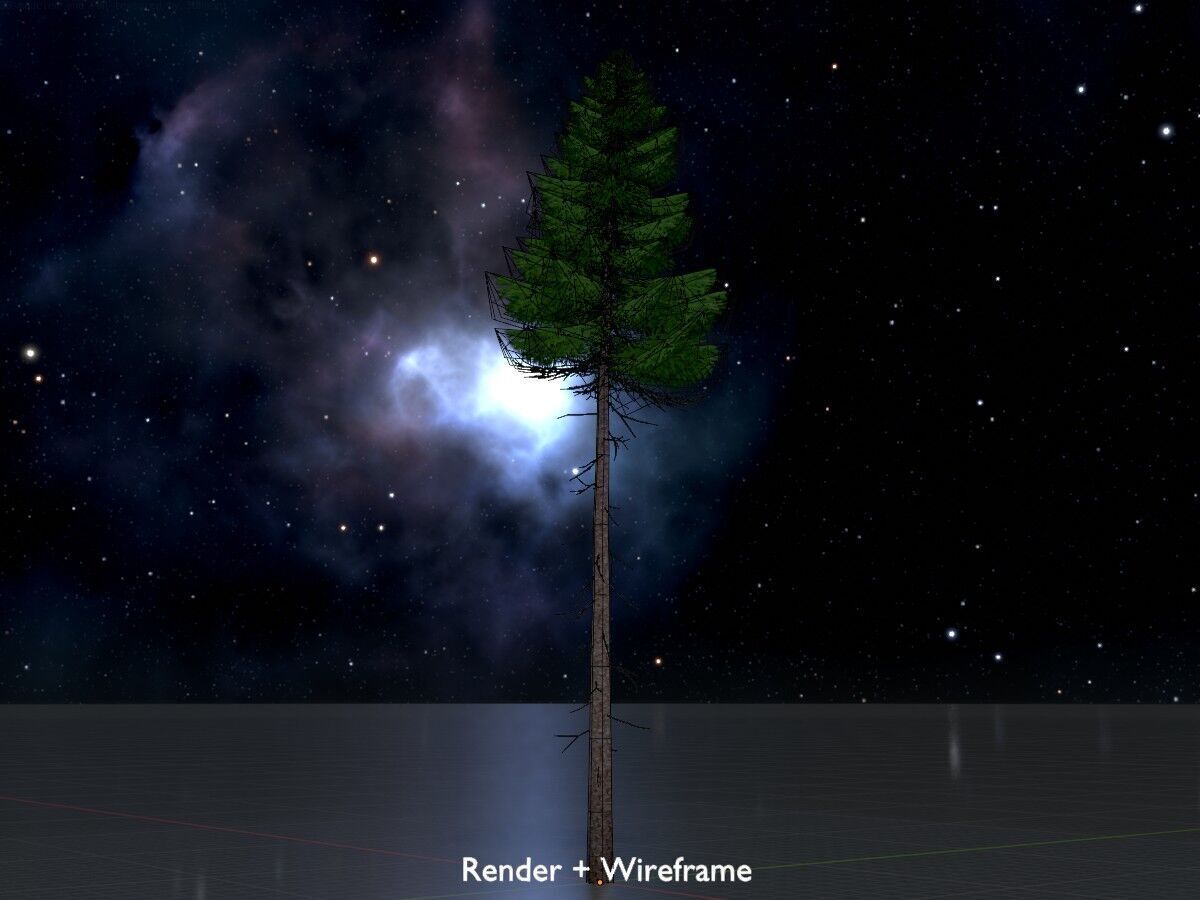 Spruce summer 31000mm forest version Low-poly 3D model_7