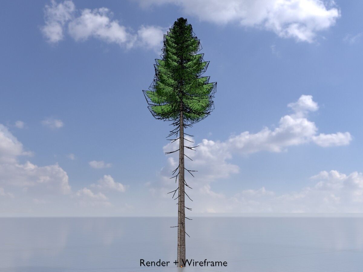 Spruce summer 31000mm forest version Low-poly 3D model_6
