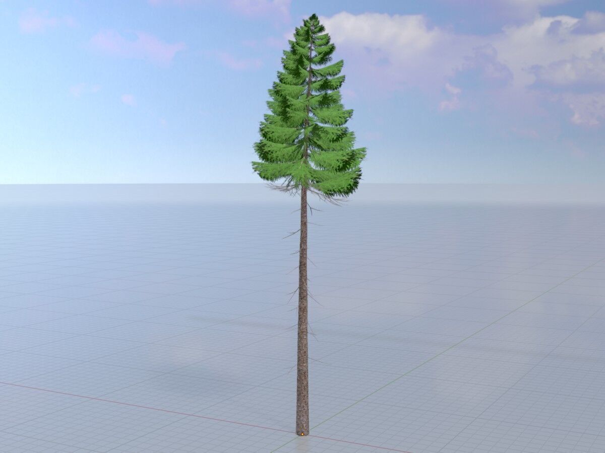 Spruce summer 31000mm forest version Low-poly 3D model_3