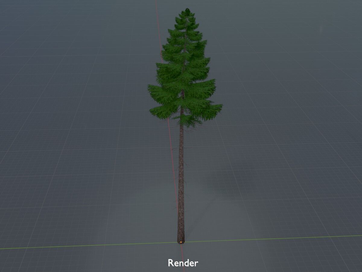 Spruce summer 31000mm forest version Low-poly 3D model_16
