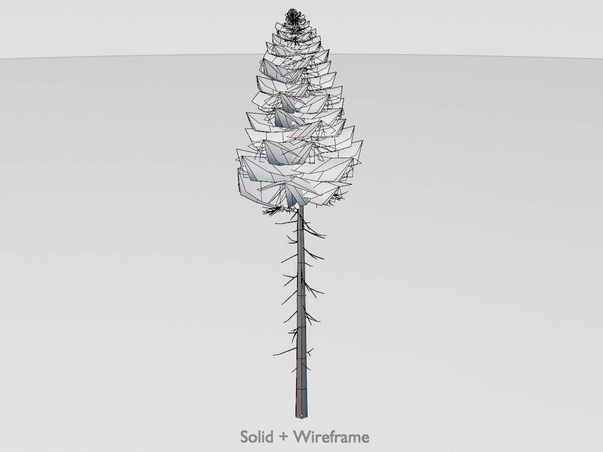 Spruce summer 31000mm forest version Low-poly 3D model_12