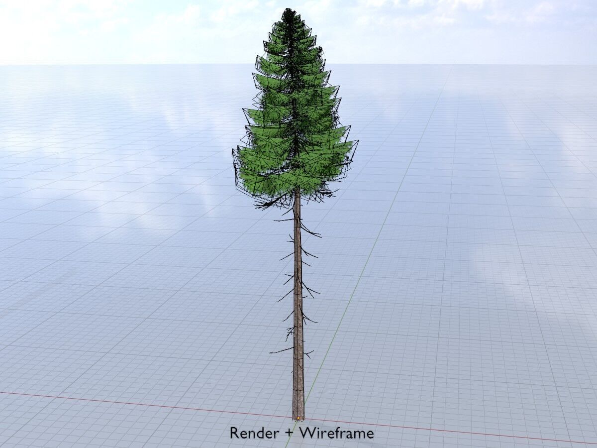 Spruce summer 31000mm forest version Low-poly 3D model_5