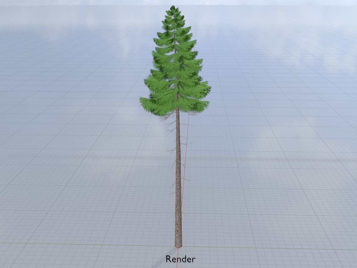Spruce summer 31000mm forest version Low-poly 3D model_14