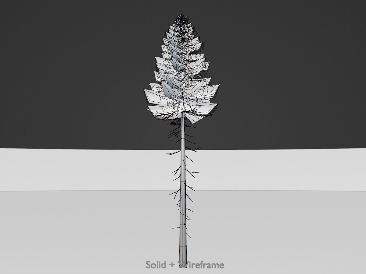 Spruce summer 31000mm forest version Low-poly 3D model_10