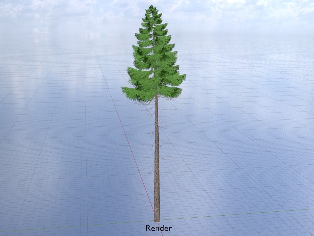 Spruce summer 31000mm forest version Low-poly 3D model_18