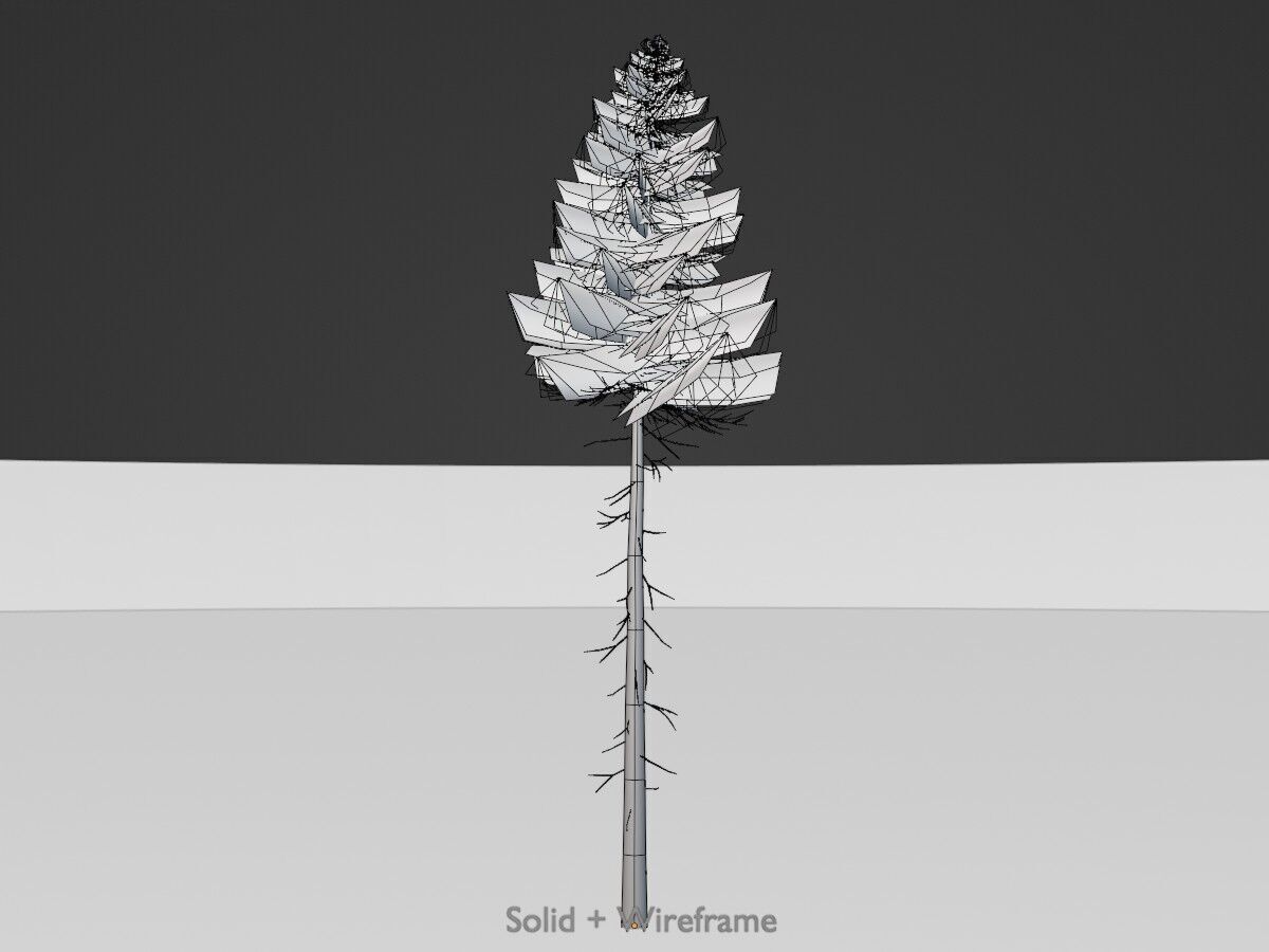 Spruce summer 31000mm forest version Low-poly 3D model_11