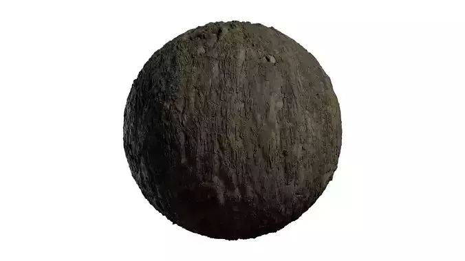 Anydrafts Lindera megaphylla Bark 02