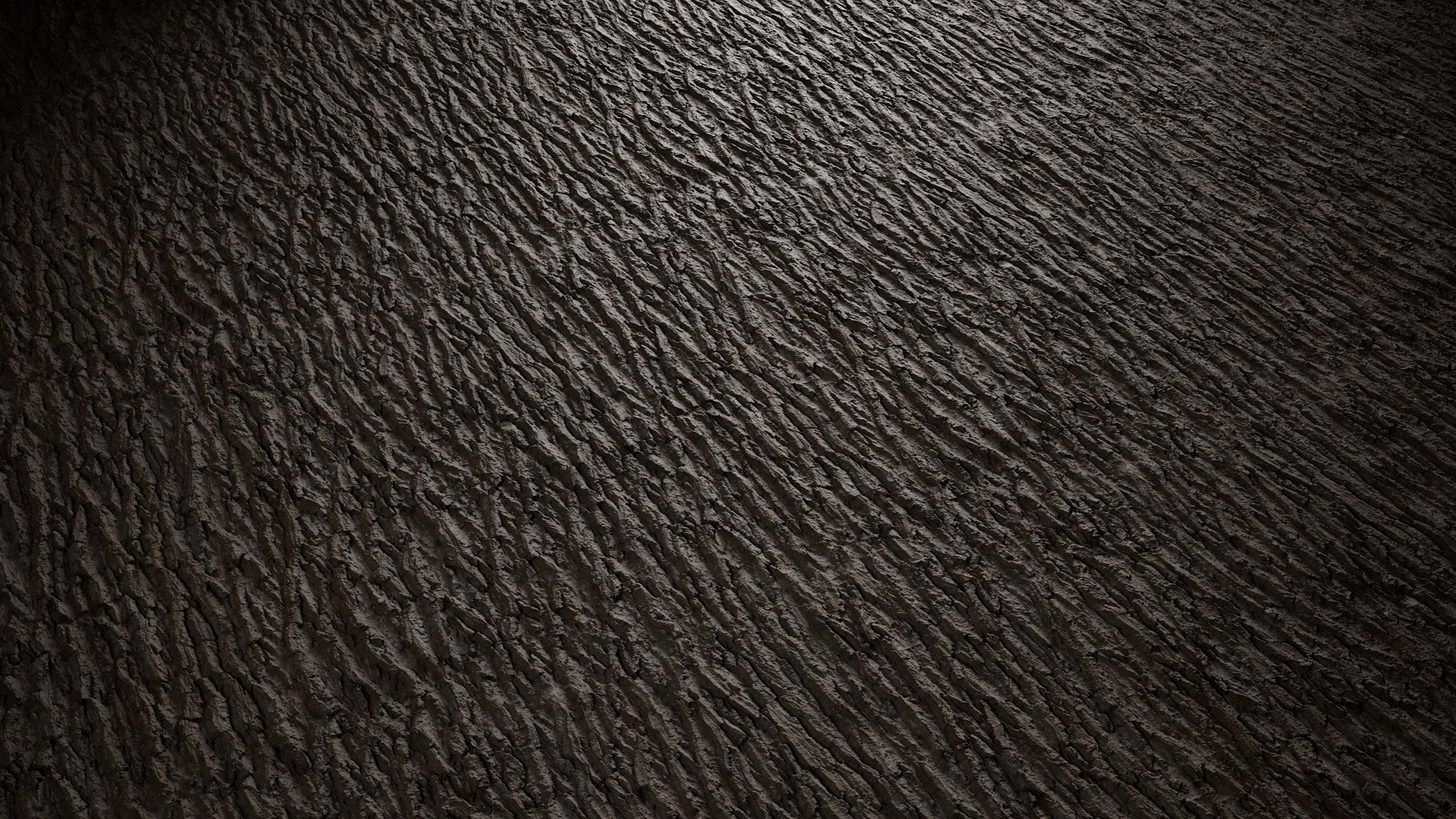 Anydrafts Lindera megaphylla Bark 03 Texture_4