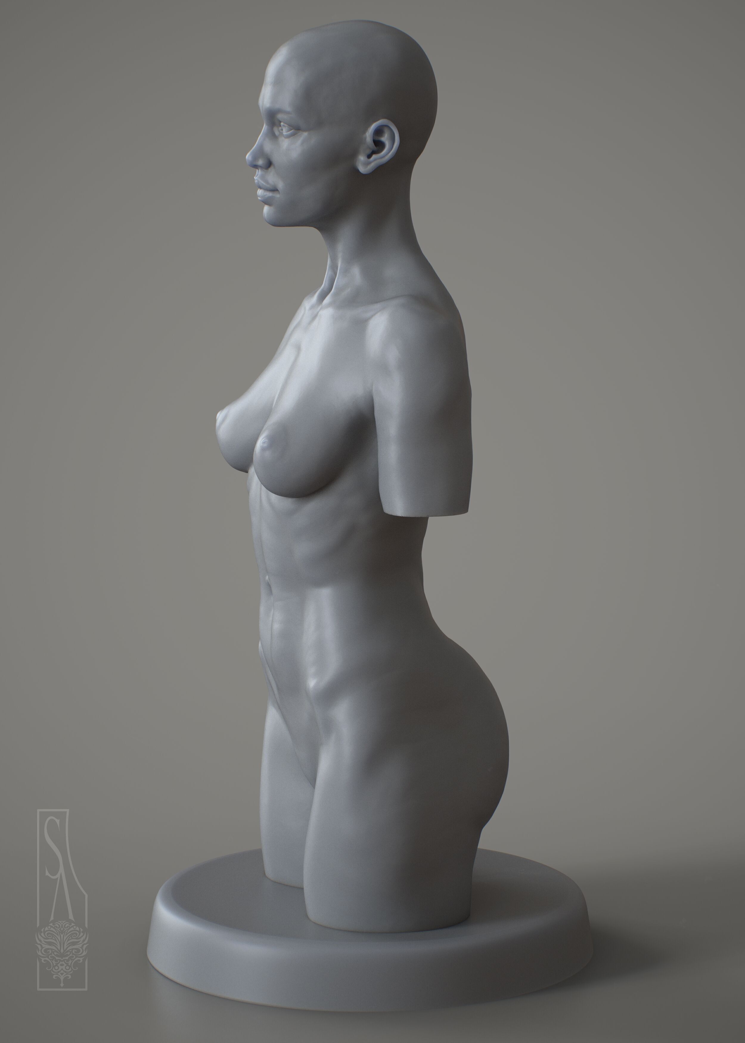 Female Torso - 3DPrintable model 3D print model_1