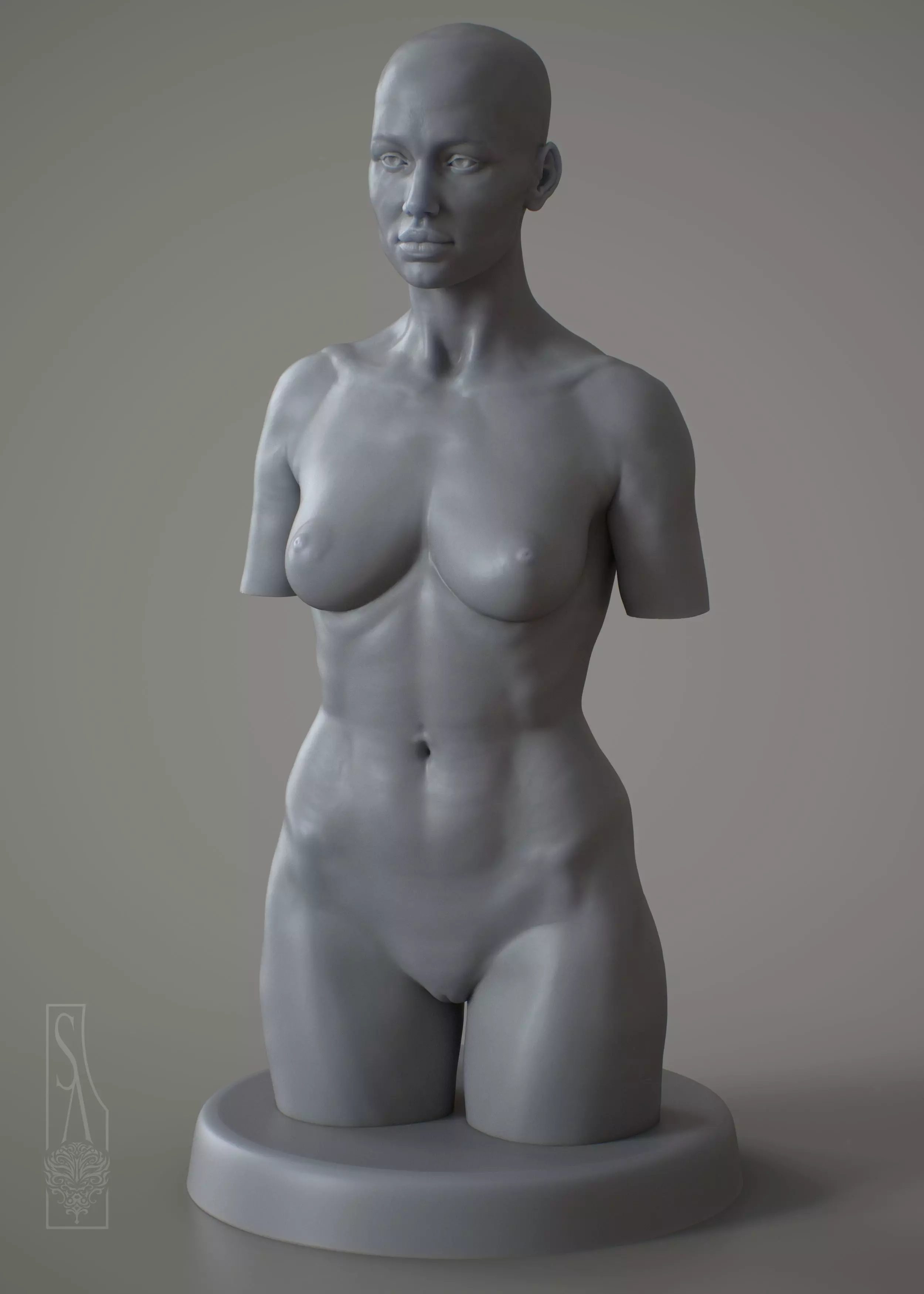 Female Torso - 3DPrintable model 3D print model_0