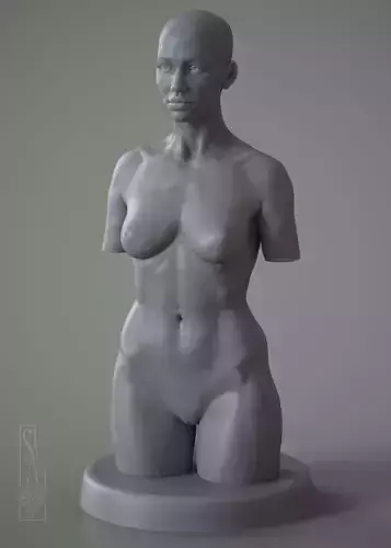 Female Torso - 3DPrintable model