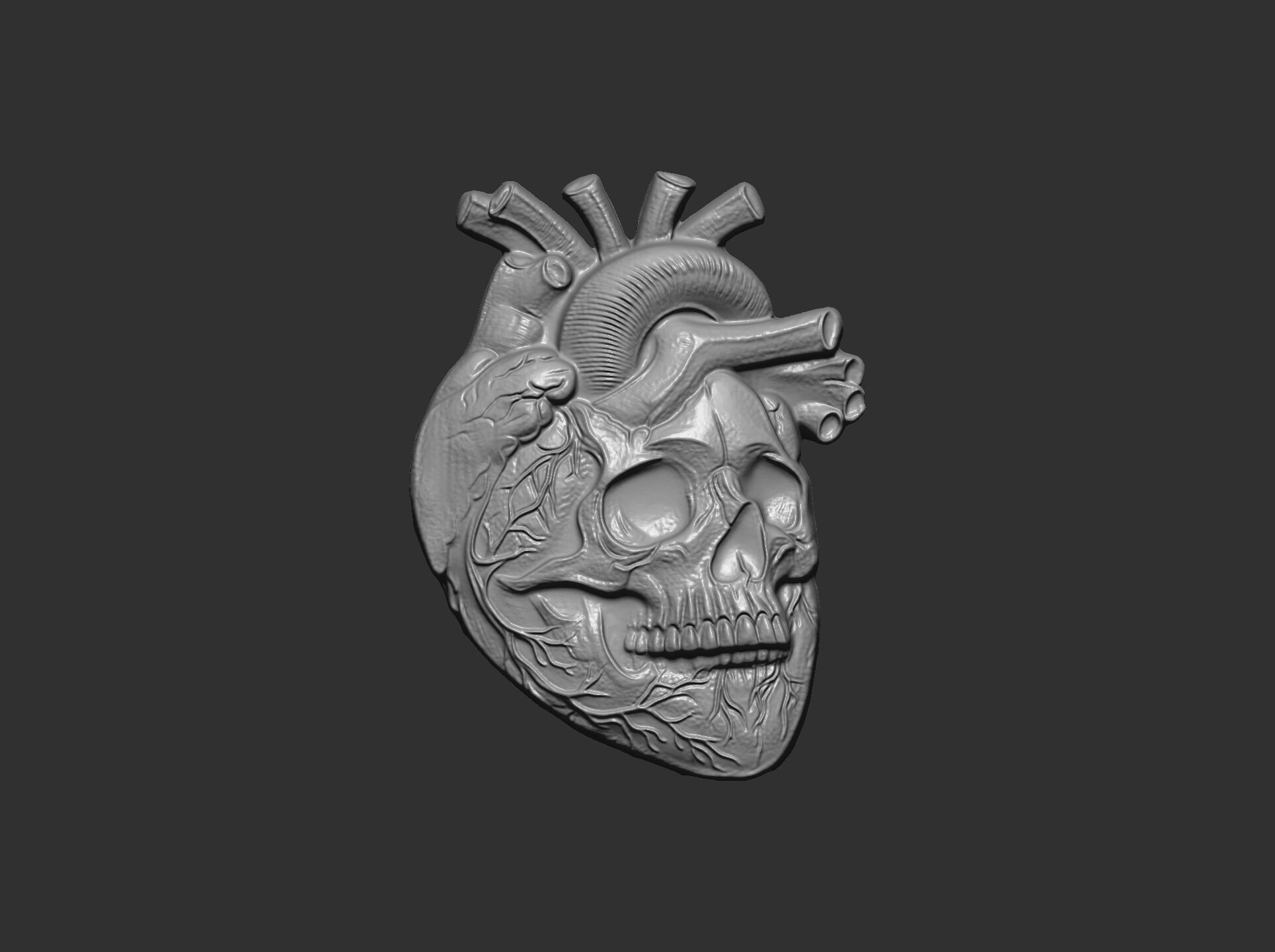 Anatomical Heart Skull 3D Model for CNC Carving and 3D Printing 3D print model_28