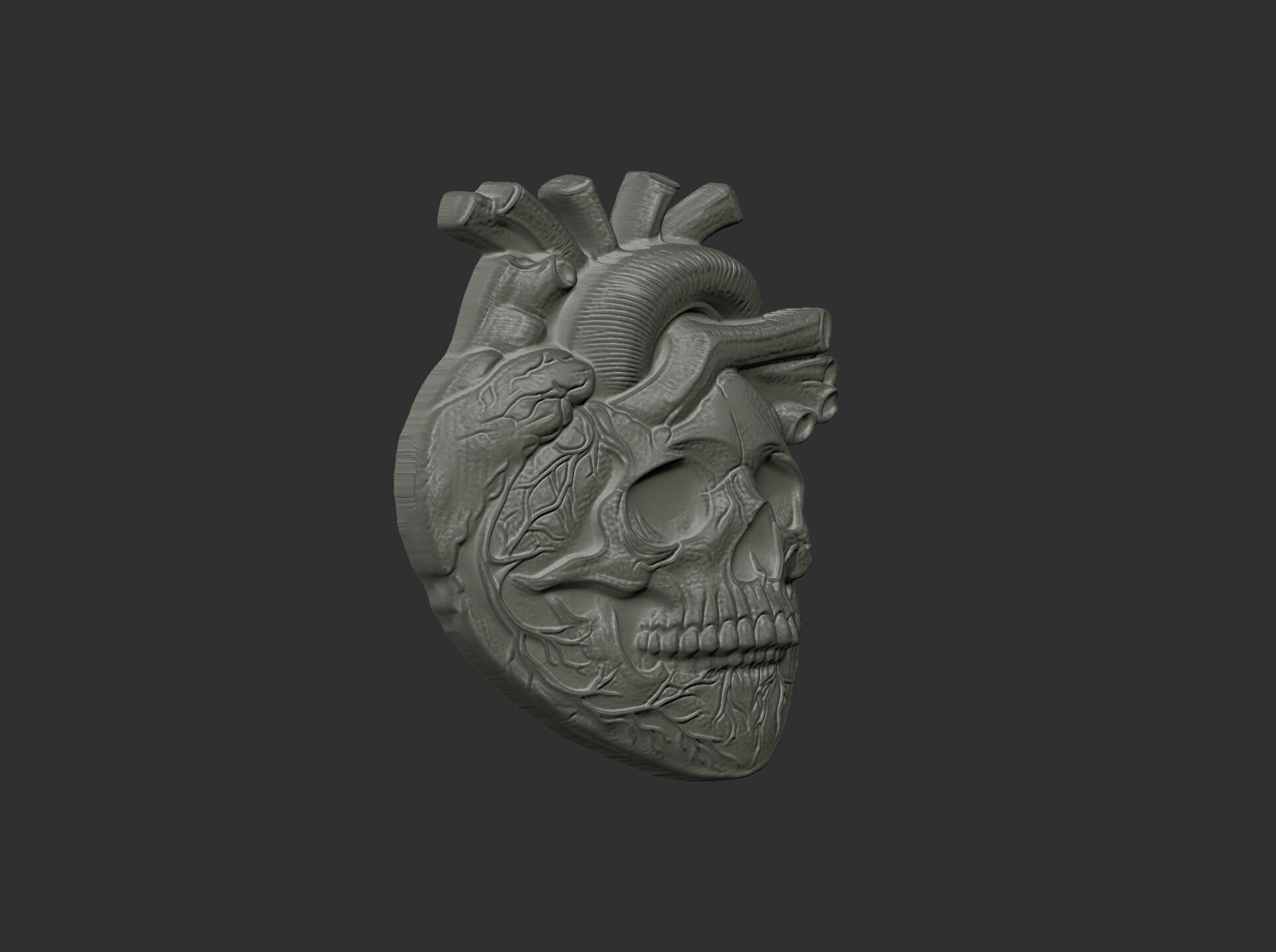 Anatomical Heart Skull 3D Model for CNC Carving and 3D Printing 3D print model_15