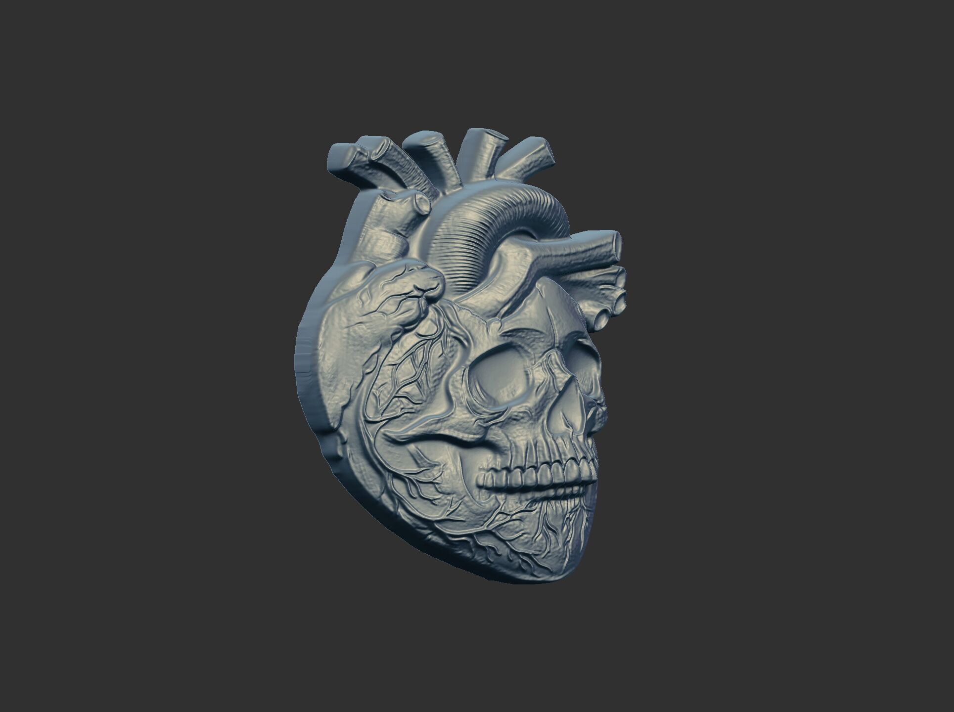 Anatomical Heart Skull 3D Model for CNC Carving and 3D Printing 3D print model_16