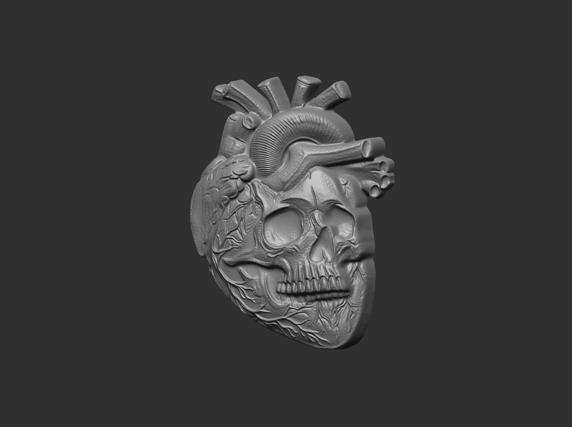 Anatomical Heart Skull 3D Model for CNC Carving and 3D Printing 3D print model_21