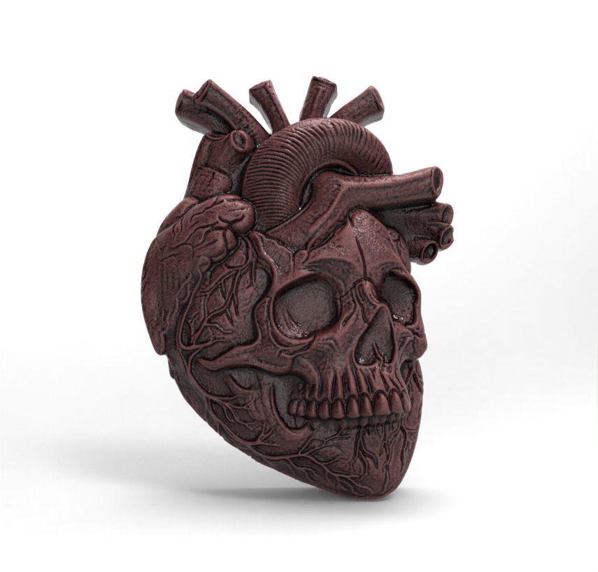 Anatomical Heart Skull 3D Model for CNC Carving and 3D Printing 3D print model_2