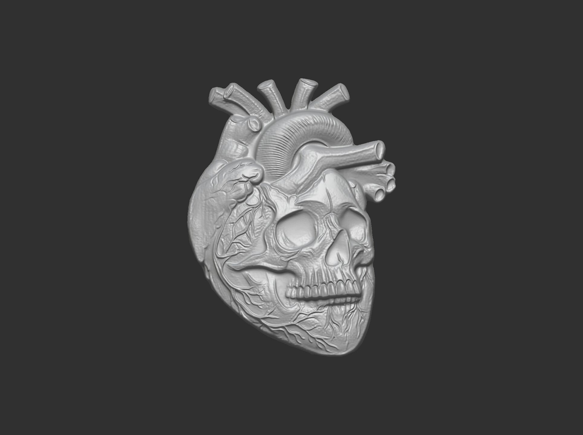 Anatomical Heart Skull 3D Model for CNC Carving and 3D Printing 3D print model_25