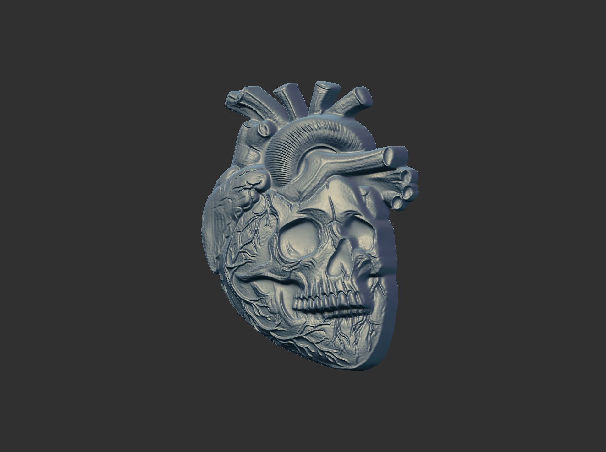 Anatomical Heart Skull 3D Model for CNC Carving and 3D Printing 3D print model_9