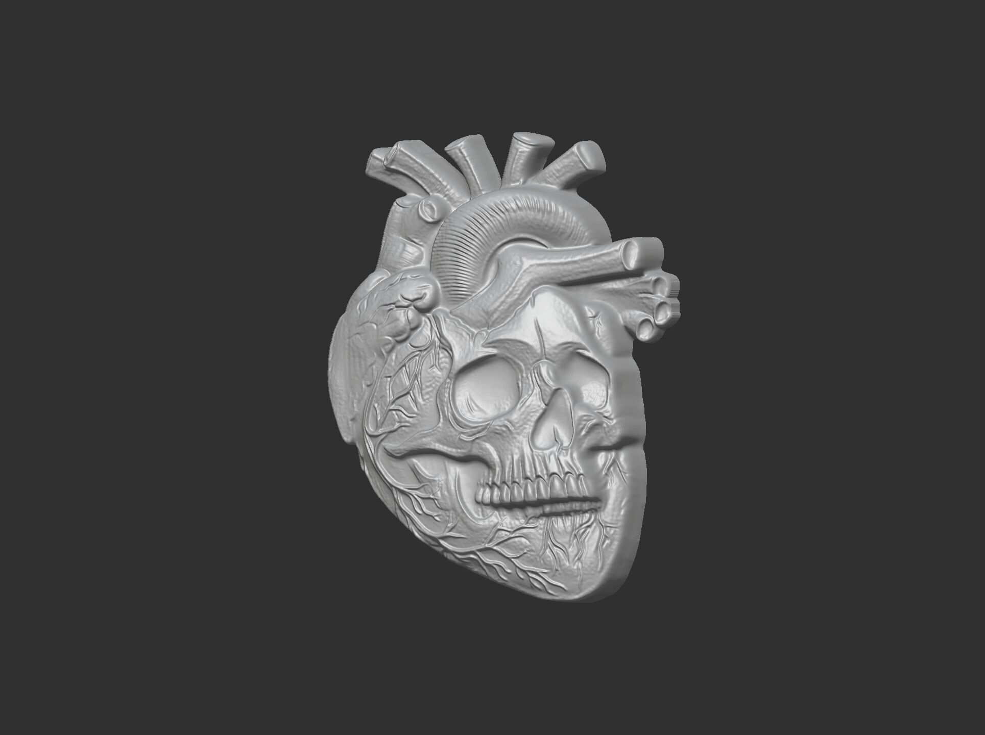 Anatomical Heart Skull 3D Model for CNC Carving and 3D Printing 3D print model_5