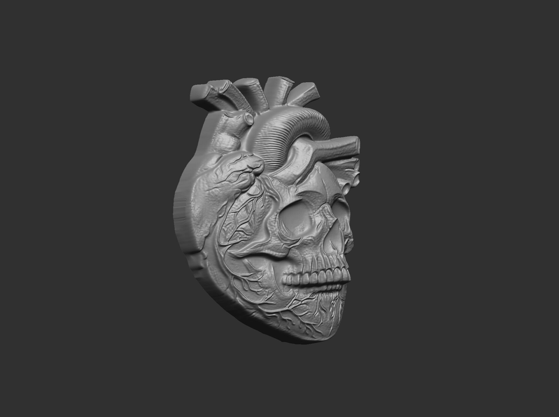 Anatomical Heart Skull 3D Model for CNC Carving and 3D Printing 3D print model_20
