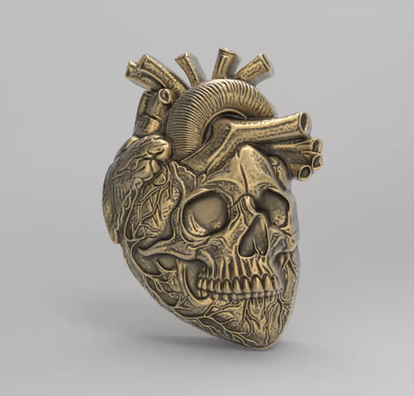 Anatomical Heart Skull 3D Model for CNC Carving and 3D Printing 3D print model_0