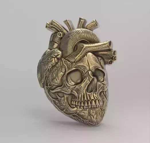  Anatomical Heart Skull 3D Model for CNC Carving and 3D Printing